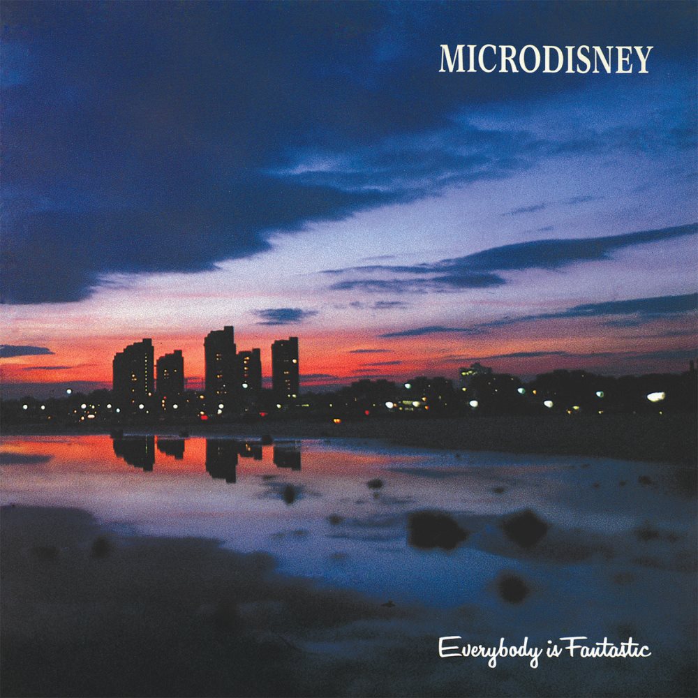 Microdisney's Everybody is Fantastic album.